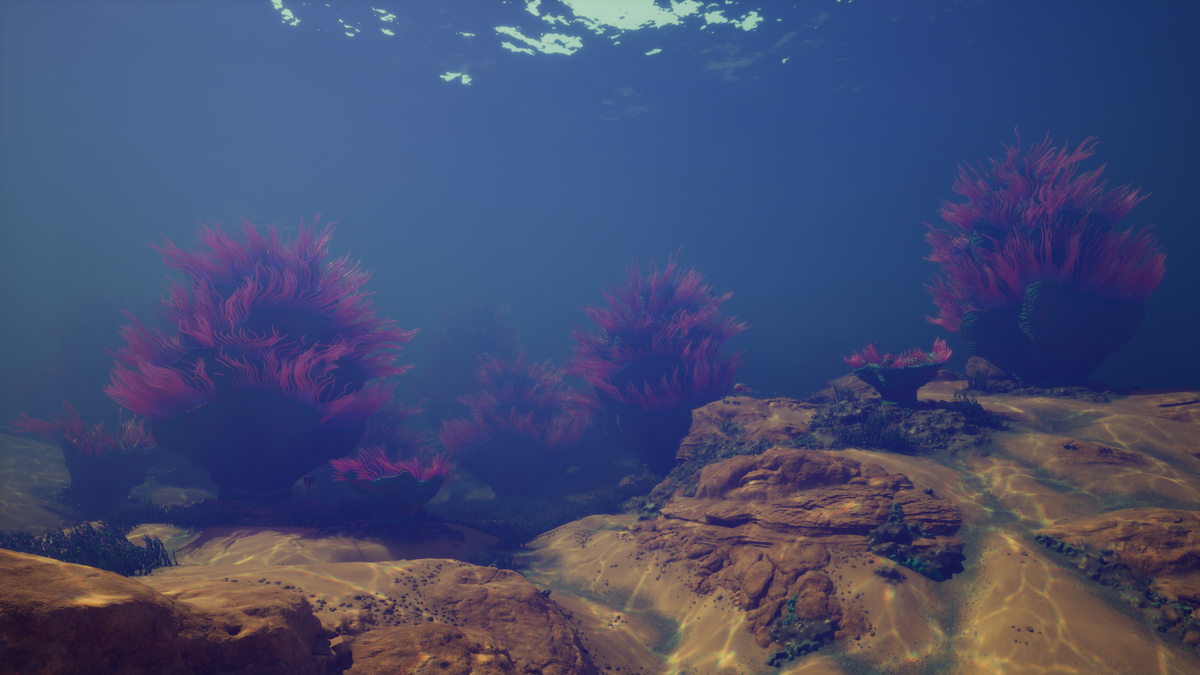 Coral Gardens