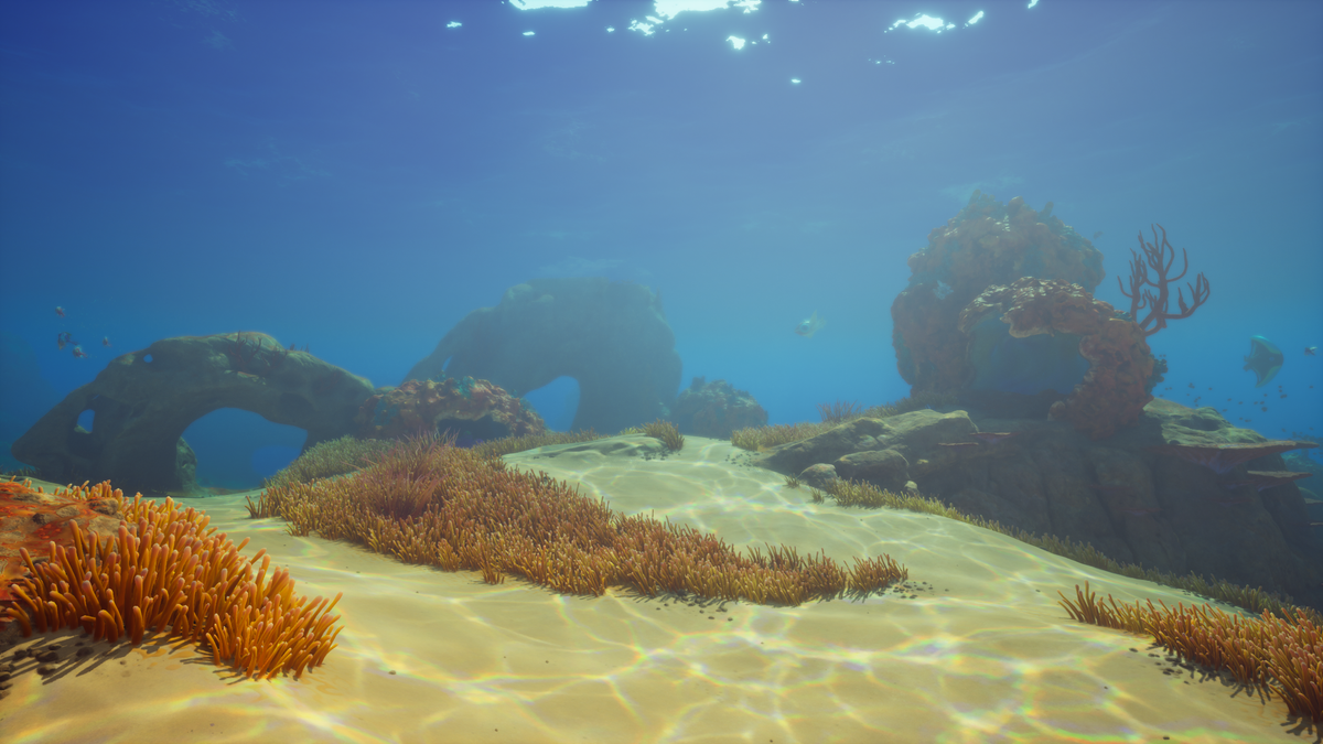 Shallows