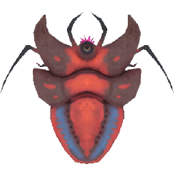 Crimson Shrimp