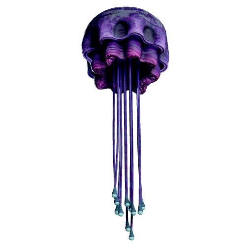 悬挂海樽