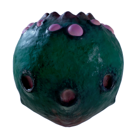 Stilt Orb