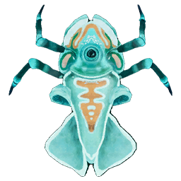 Teal Cycloplet