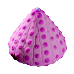 Aeroshell Sponge