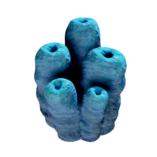 剧毒海绵